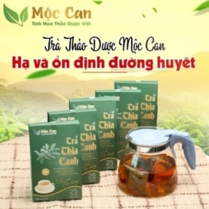 tra-thia-canh-moc-can