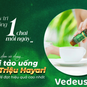 huong dan su dung sieu vi tao 300 trieu hayari 1536x896 1