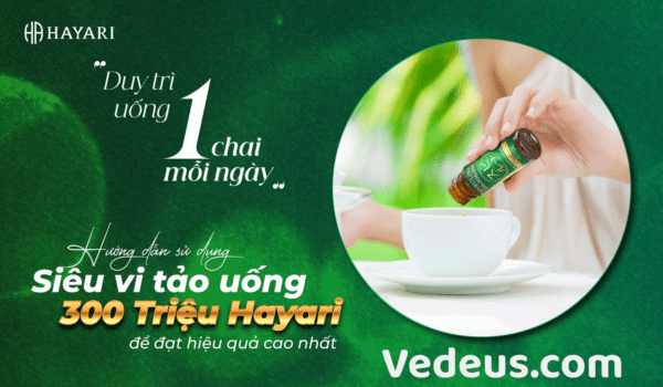 huong dan su dung sieu vi tao 300 trieu hayari 1536x896 1