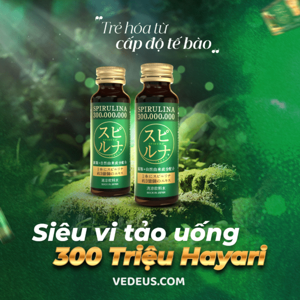 sieu vi tao 300 trieu hayari