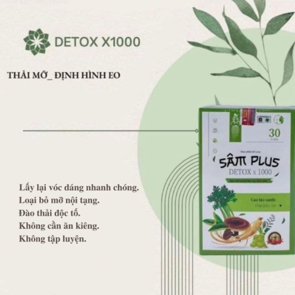 keo-ho-tro-giam-can-sam-plus-detox-x1000