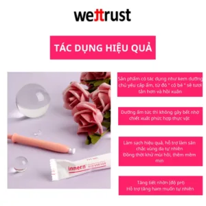 dung-dich-ve-sinh-vung-kin-da-nang-inner-gel-wettrust