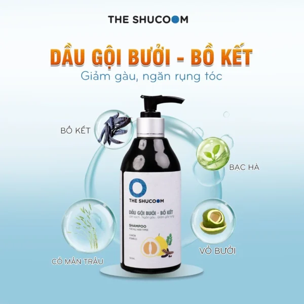 dau-goi-bo-ket-the-shucoom-ngan-ngua-gay-rung-toc