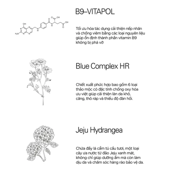 toner-phuc-hop-multivitamin-duong-am-mem-min-da-div